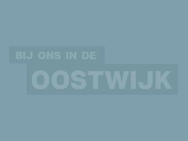 Wonen in de Oostwijk